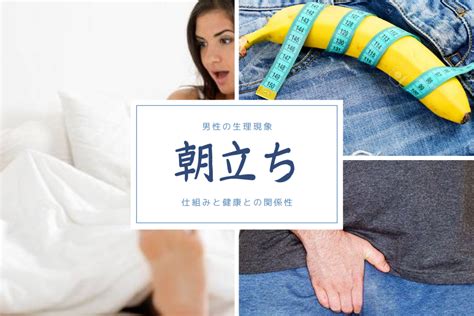 朝立ちしない 40代|男性が朝立ちする理由と原因・朝立ちしない原因と解。